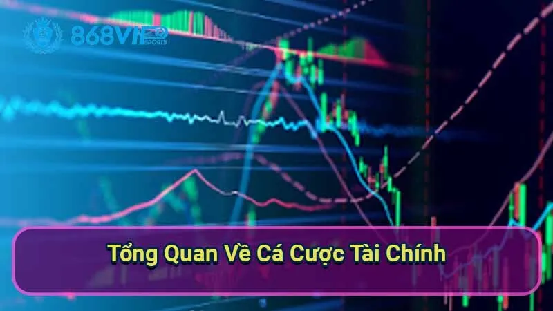 tong-quan-ve-ca-cuoc-tai-chinh