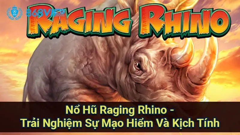 no-hu-raging-rhino