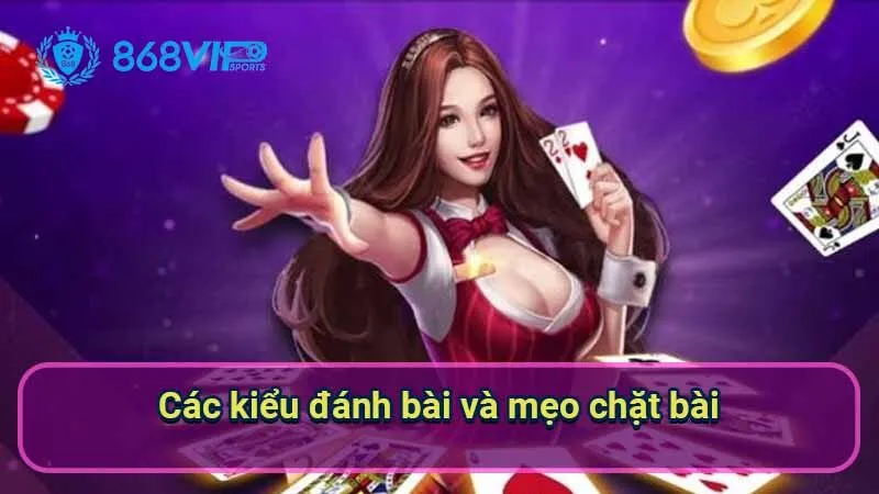 cac-kieu-danh-bai-va-meo-chat-bai